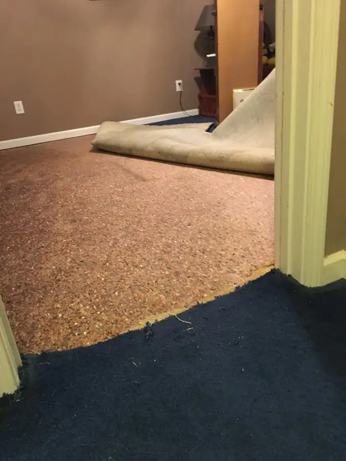 Carpet pad removal revealing water damage during Water Mitigation Services in Box Elder